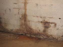 home inspection mold like substance in new jersey
							basement